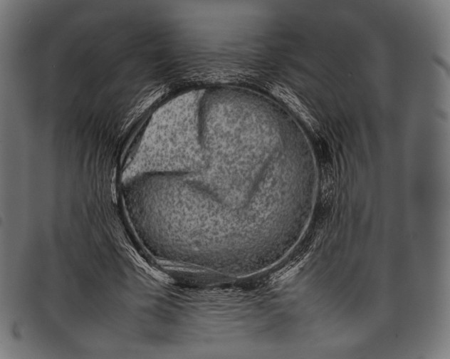 X0000097820585200803281123