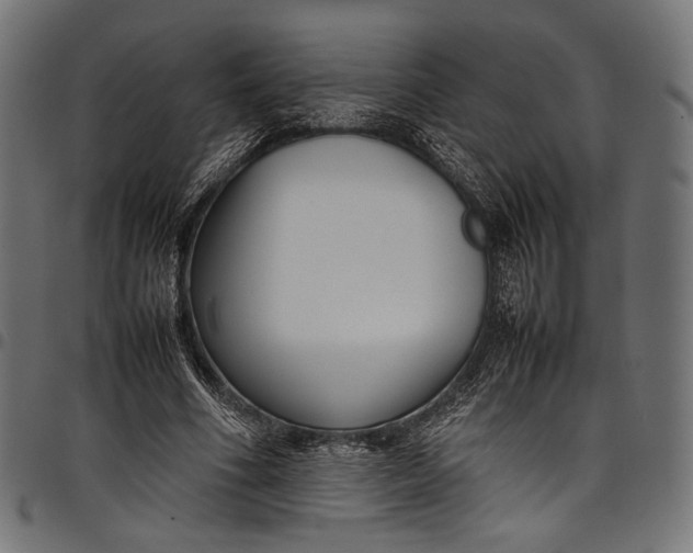 X0000097820586200803281123