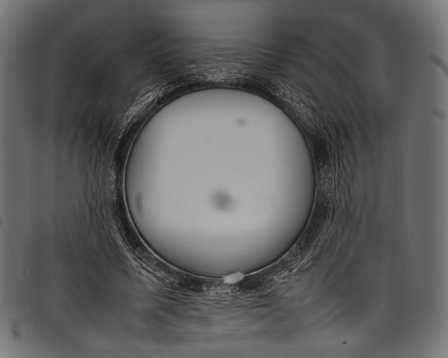 X0000097820587200803281123