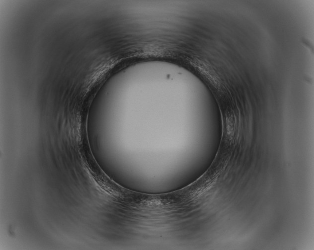 X0000097820588200803281123