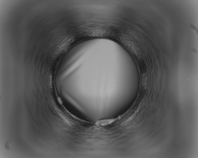 X0000097820589200803281123