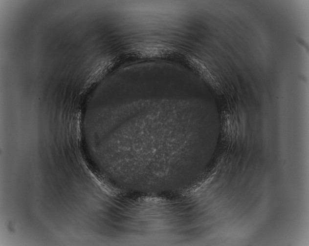 X0000097820590200803281123