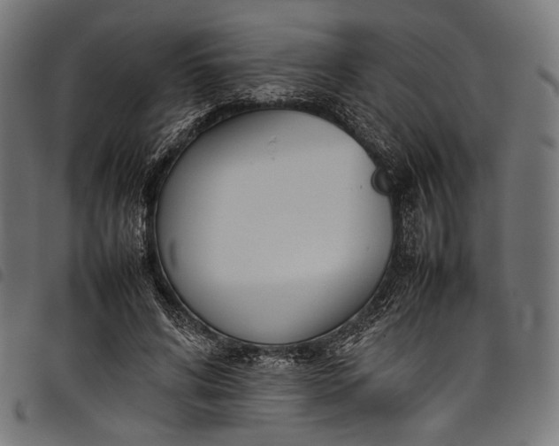 X0000097820592200803281123