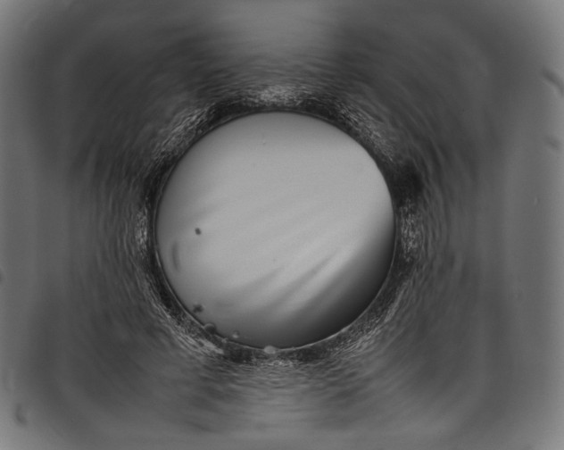 X0000097820593200803281123