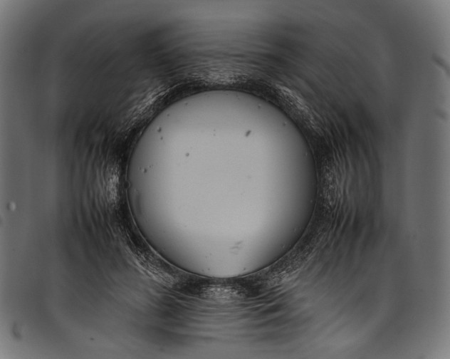 X0000097820596200803281123