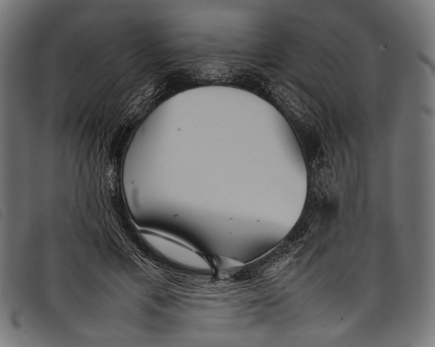 X0000097820597200803281123