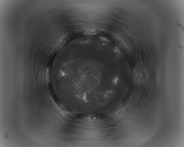 X0000097820598200803281123