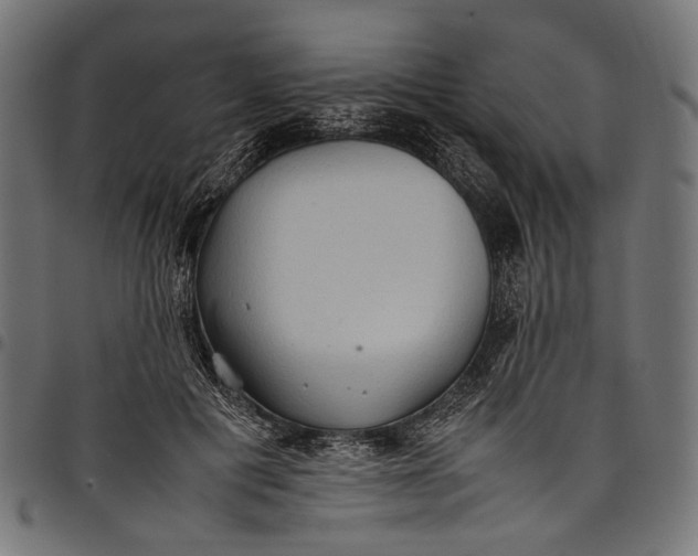 X0000097820601200803281123