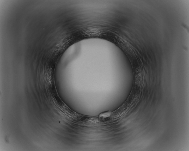 X0000097820604200803281123