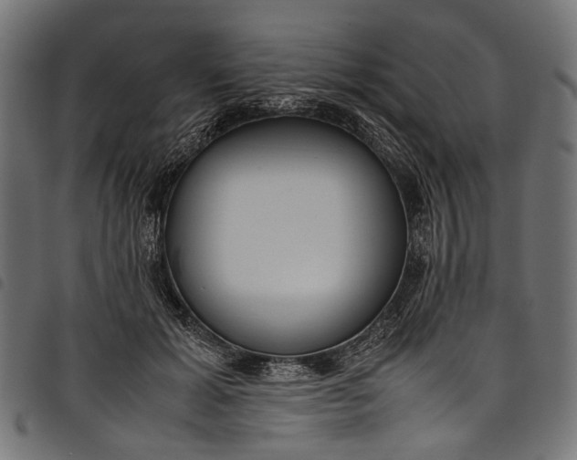 X0000097820605200803281123