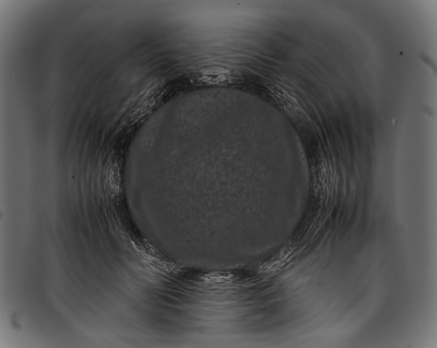 X0000097820606200803281123