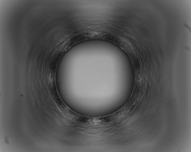 X0000097820607200803281123