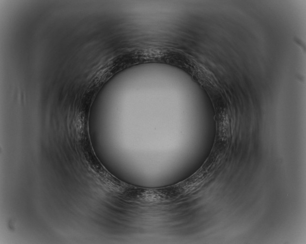 X0000097820608200803281123