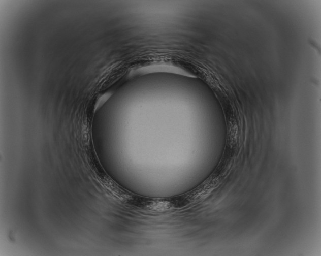 X0000097820609200803281123