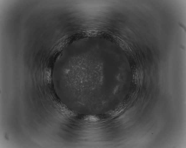 X0000097820610200803281123