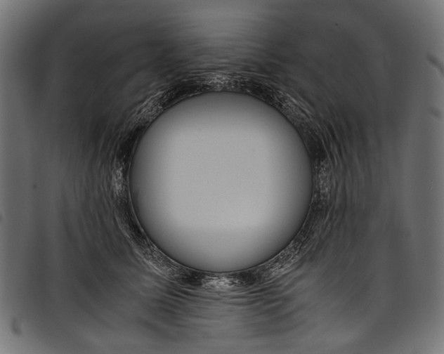 X0000097820611200803281123