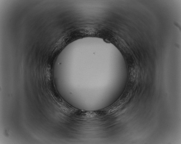 X0000097820612200803281123