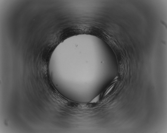 X0000097820613200803281122