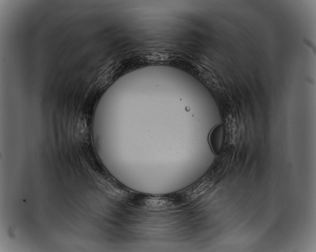 X0000097820614200803281122