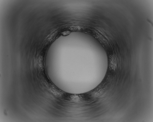 X0000097820616200803281122