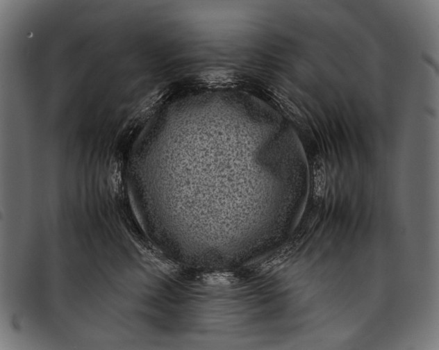 X0000097820618200803281122