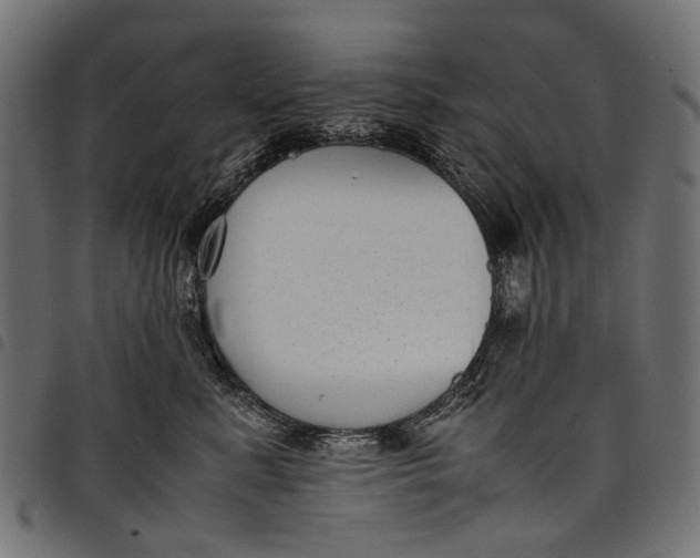 X0000097820619200803281122