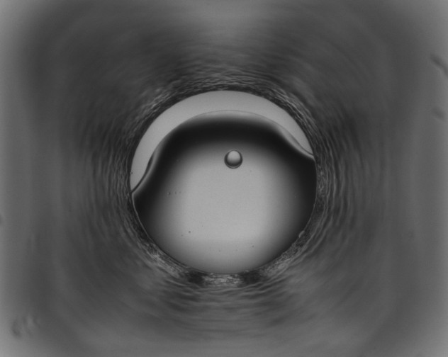 X0000097820621200803281122