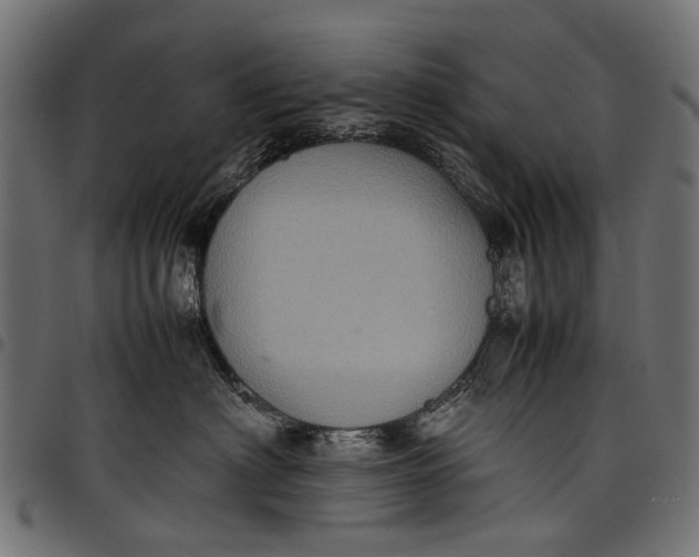 X0000097820622200803281122