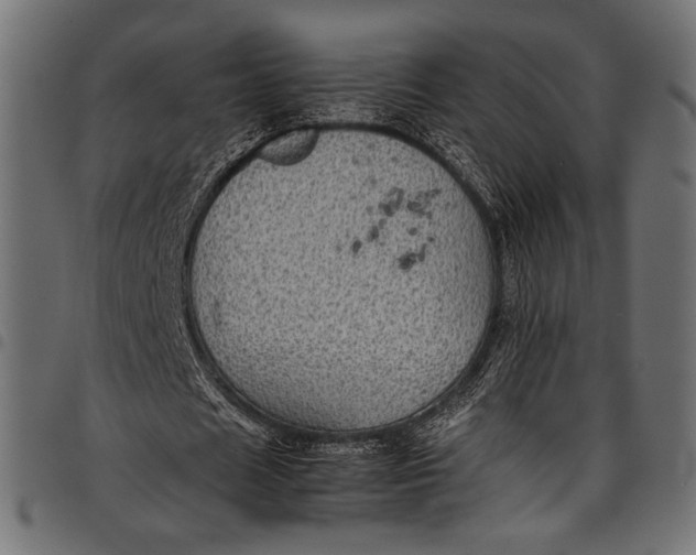 X0000097820625200803281122