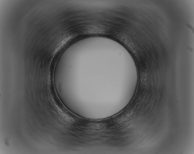 X0000097820629200803281122