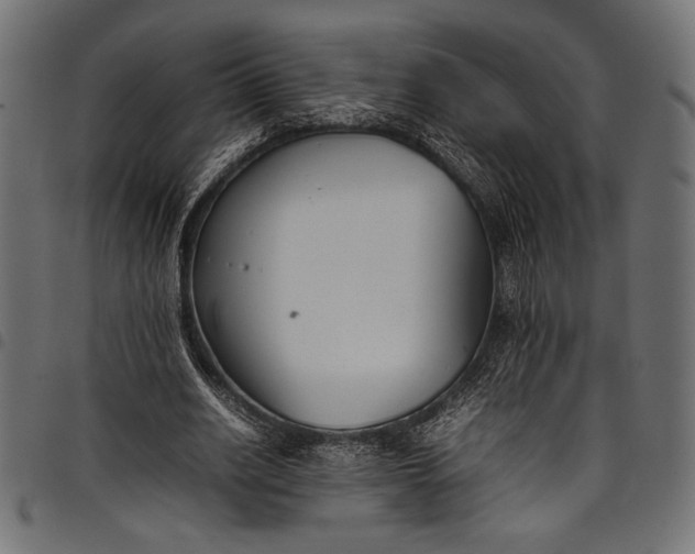 X0000097820630200803281122