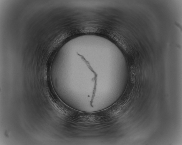 X0000097820631200803281122