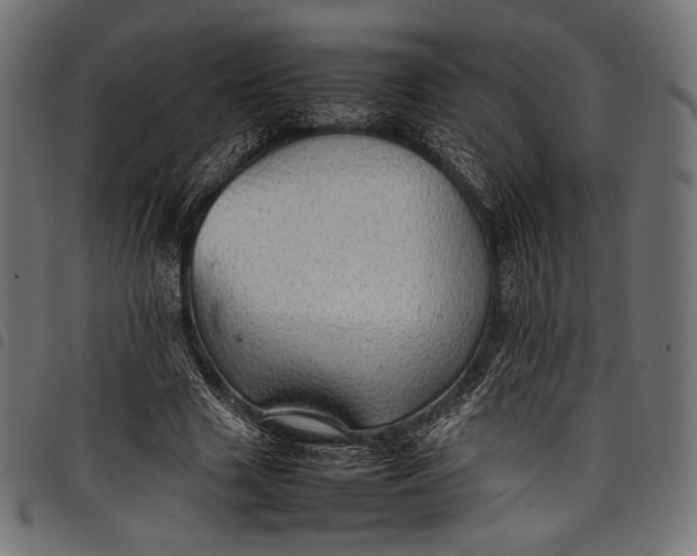 X0000097820633200803281122