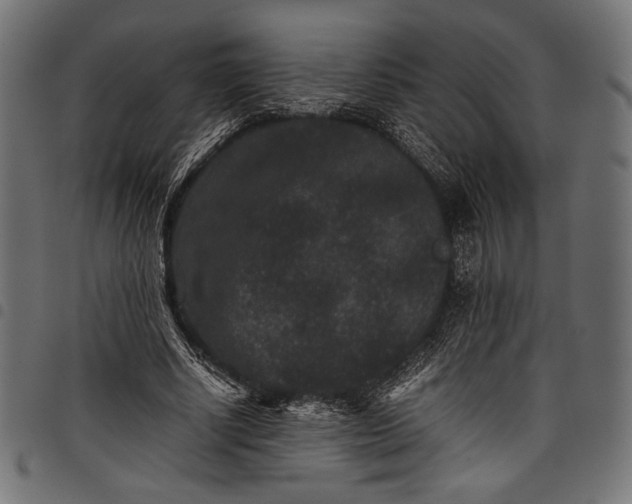 X0000097820634200803281122