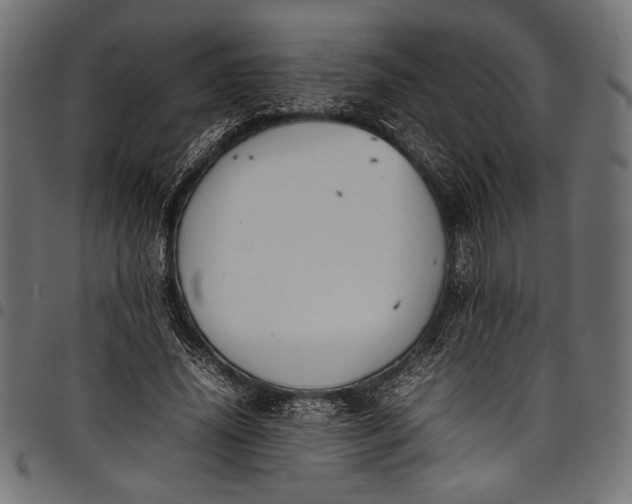 X0000097820636200803281122