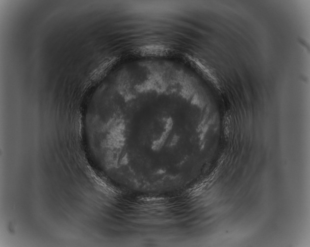 X0000097820637200803281122