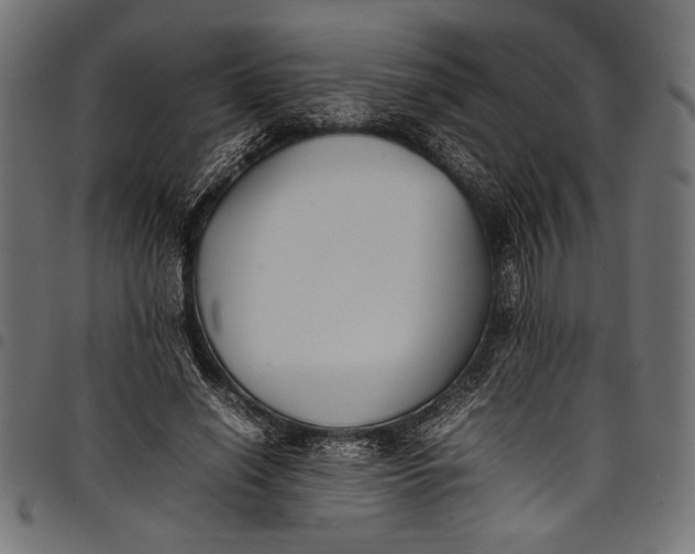 X0000097820638200803281122