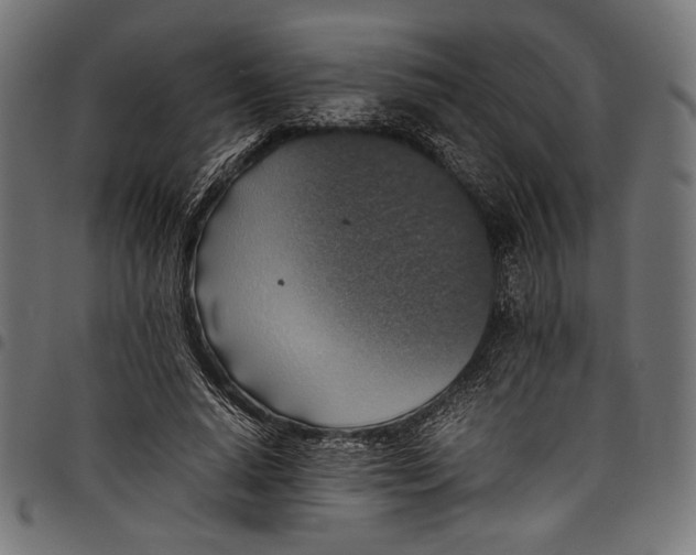 X0000097820640200803281122