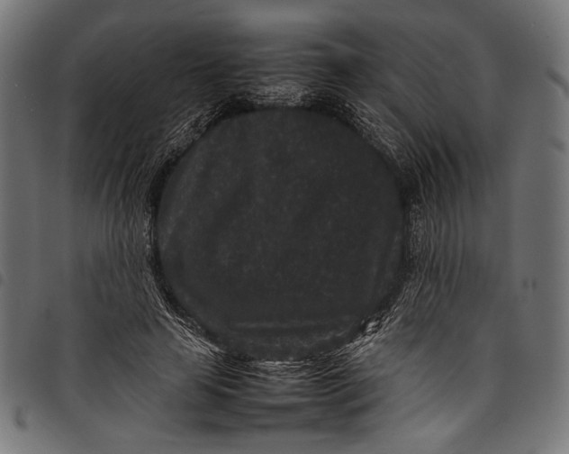 X0000097820641200803281122