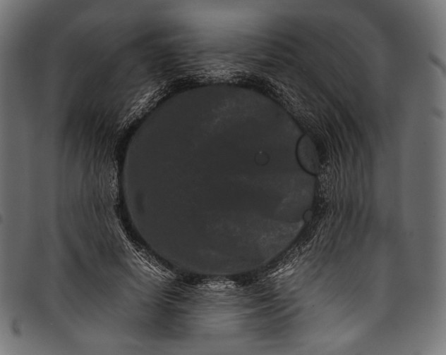 X0000097820642200803281122