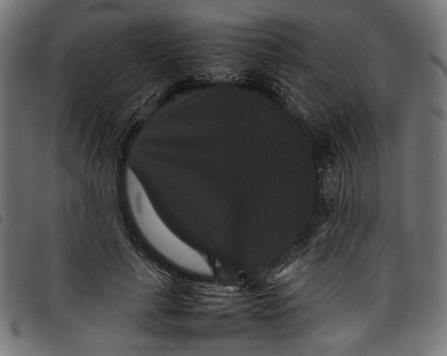 X0000097820643200803281122