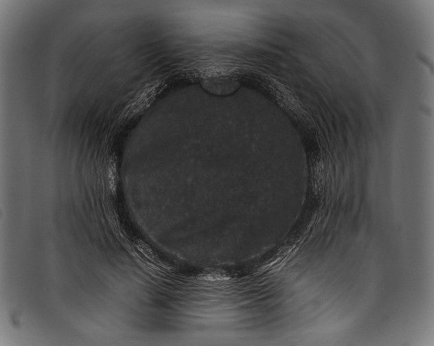 X0000097820644200803281122