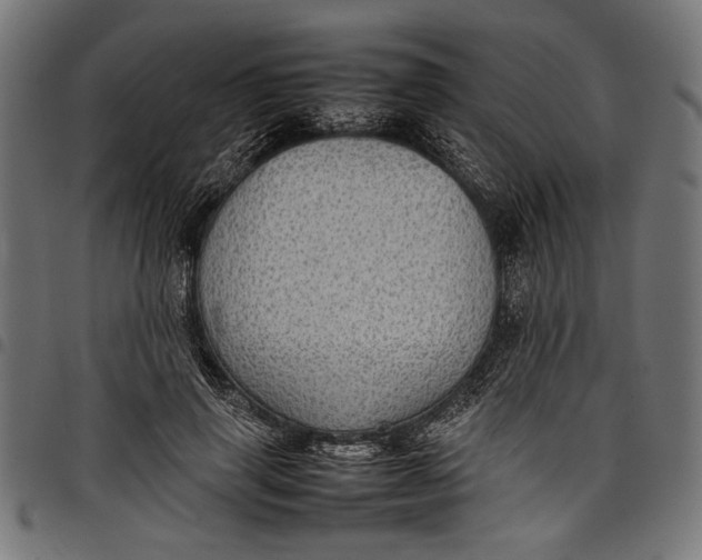 X0000097820645200803281122