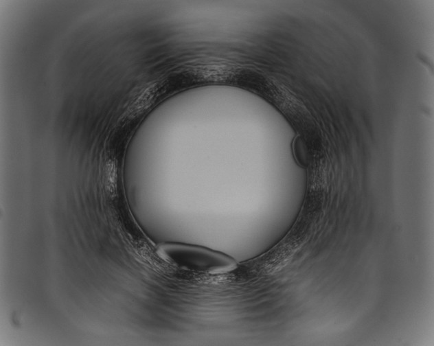 X0000097820646200803281122