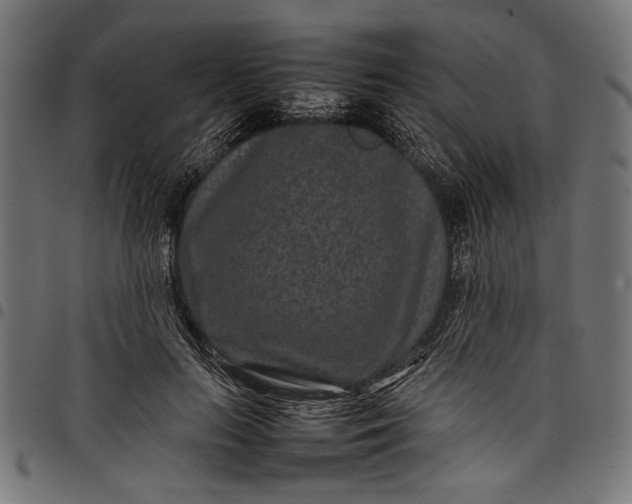 X0000097820647200803281122