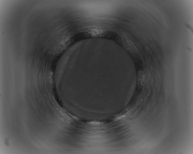 X0000097820650200803281122