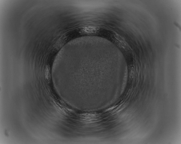 X0000097820651200803281122