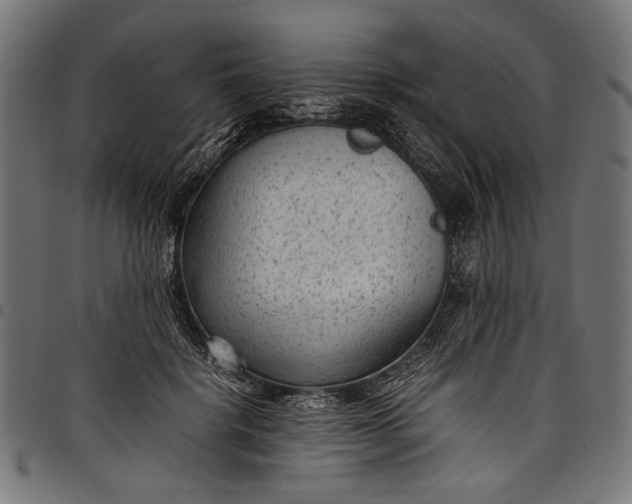 X0000097820652200803281122