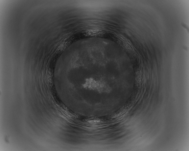 X0000097820653200803281122