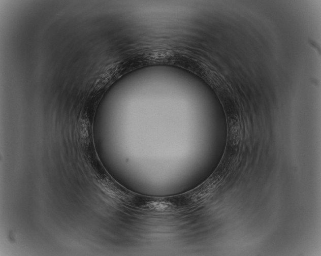 X0000097820654200803281122